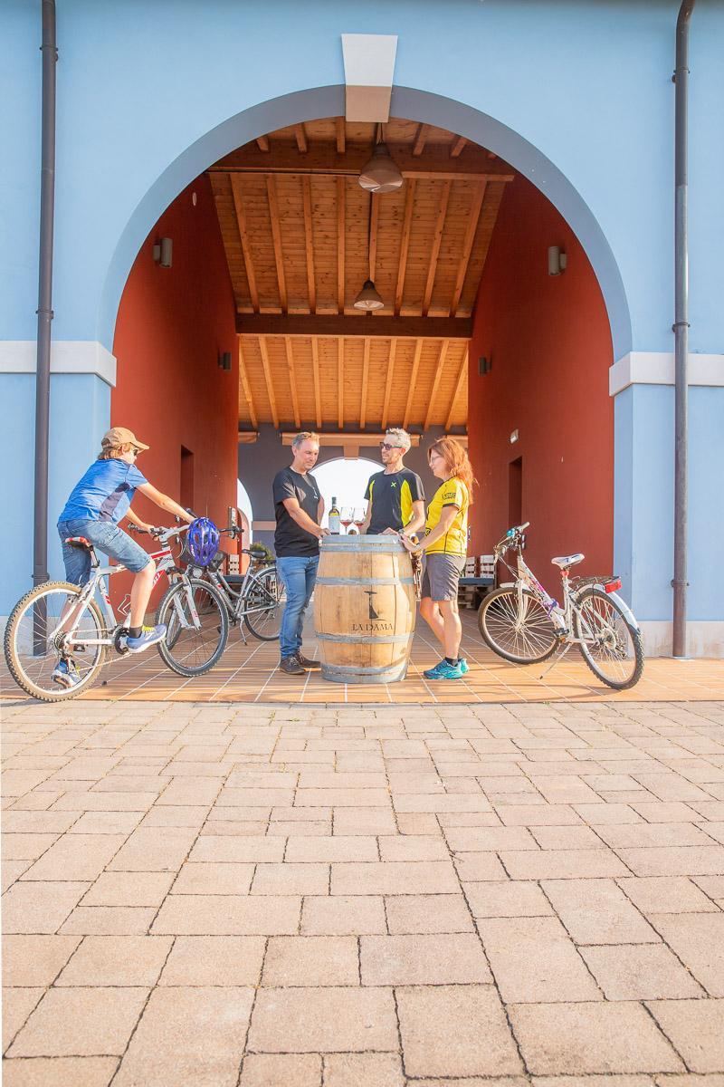 La Dama: in bici in Valpolicella, esperienze